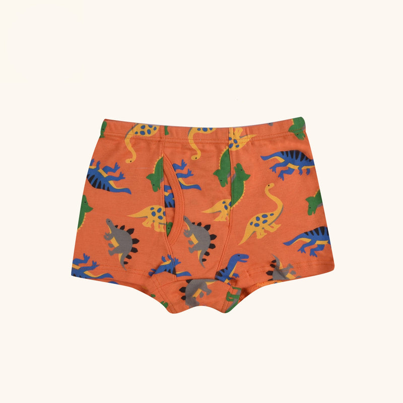 BRIO Boxer Briefs for Boys