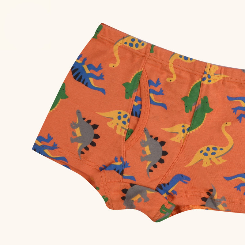 BRIO Boxer Briefs for Boys