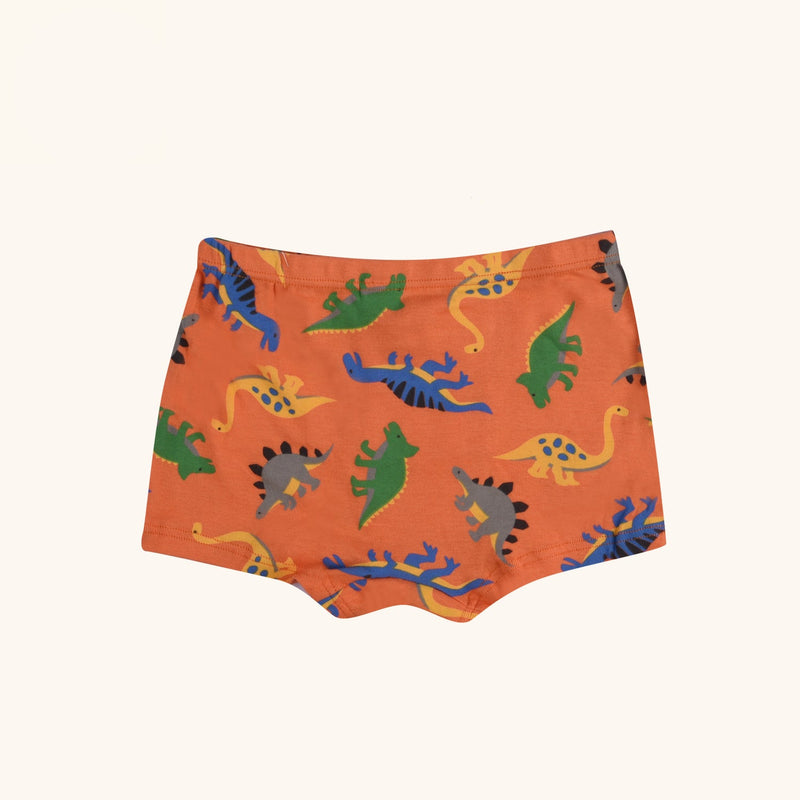 BRIO Boxer Briefs for Boys