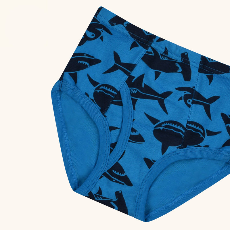 BRYANT Briefs for Boys