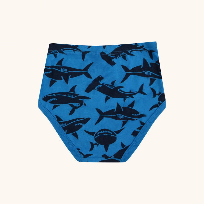 BRYANT Briefs for Boys