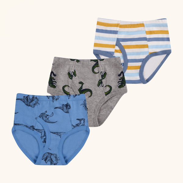 CLINTON Briefs for Boys