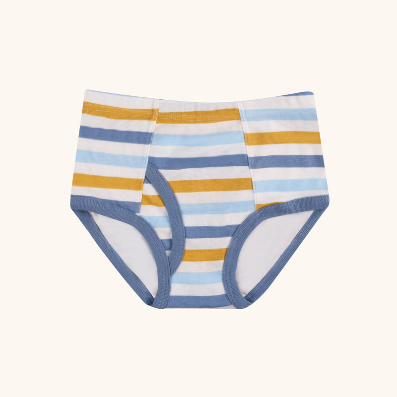 CLINTON Briefs for Boys