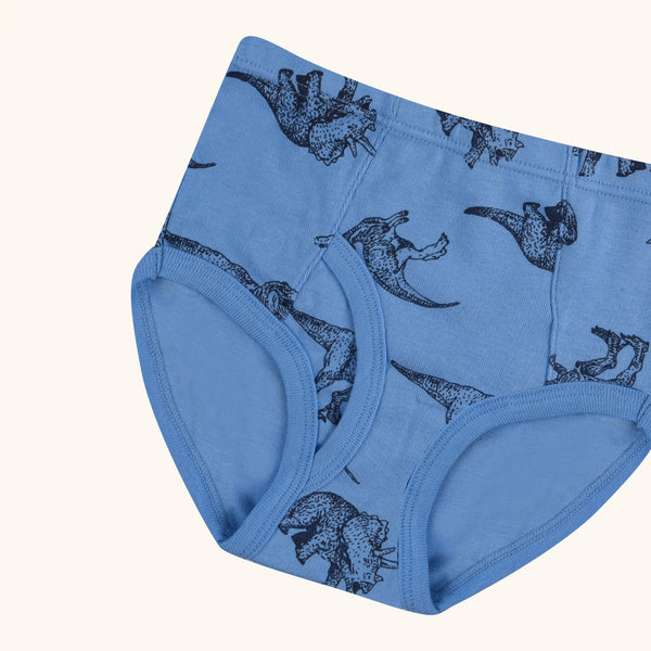 CLINTON Briefs for Boys