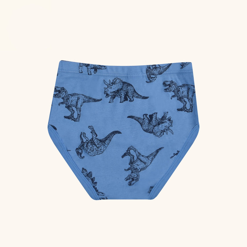 CLINTON Briefs for Boys