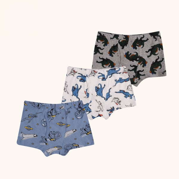 ELLINGTON Boxer Briefs for Boys