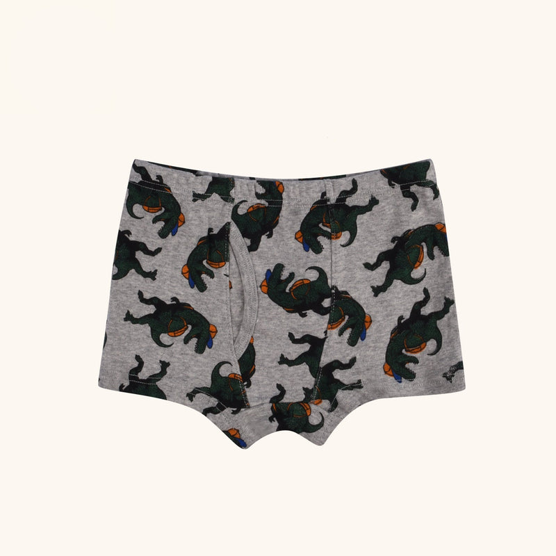 ELLINGTON Boxer Briefs for Boys