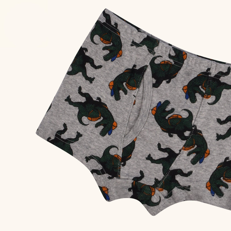 ELLINGTON Boxer Briefs for Boys