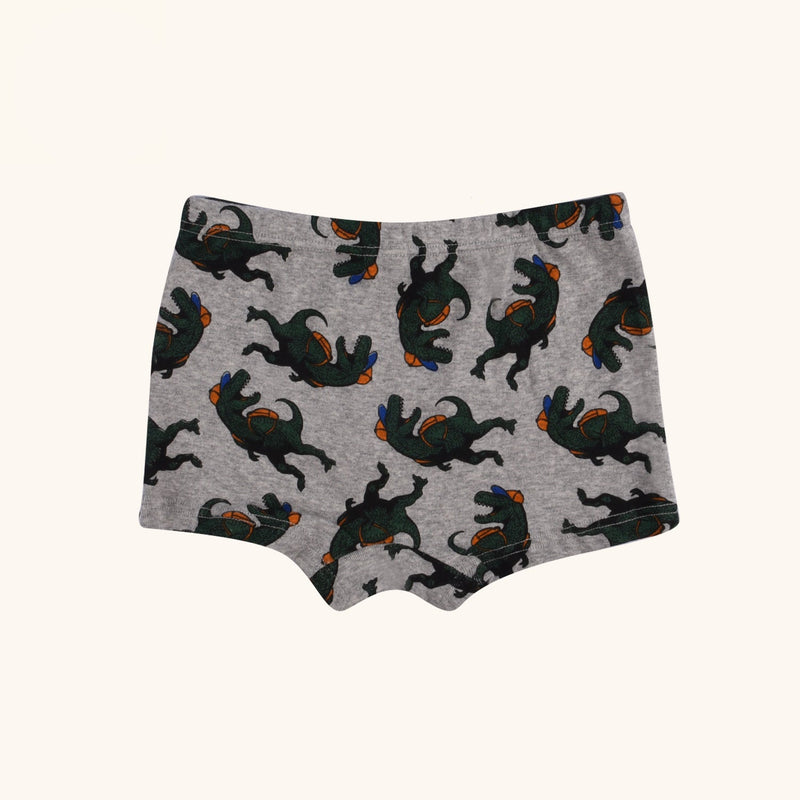 ELLINGTON Boxer Briefs for Boys