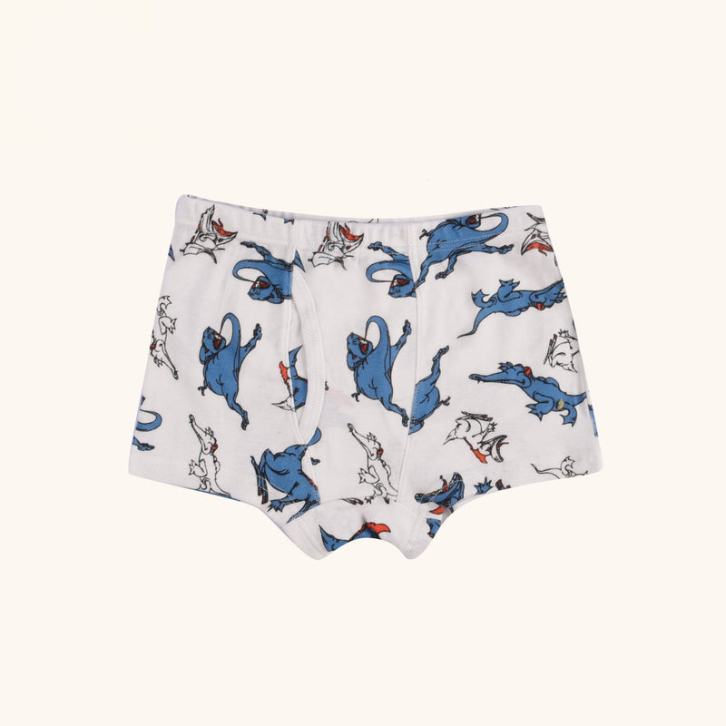 ELLINGTON Boxer Briefs for Boys