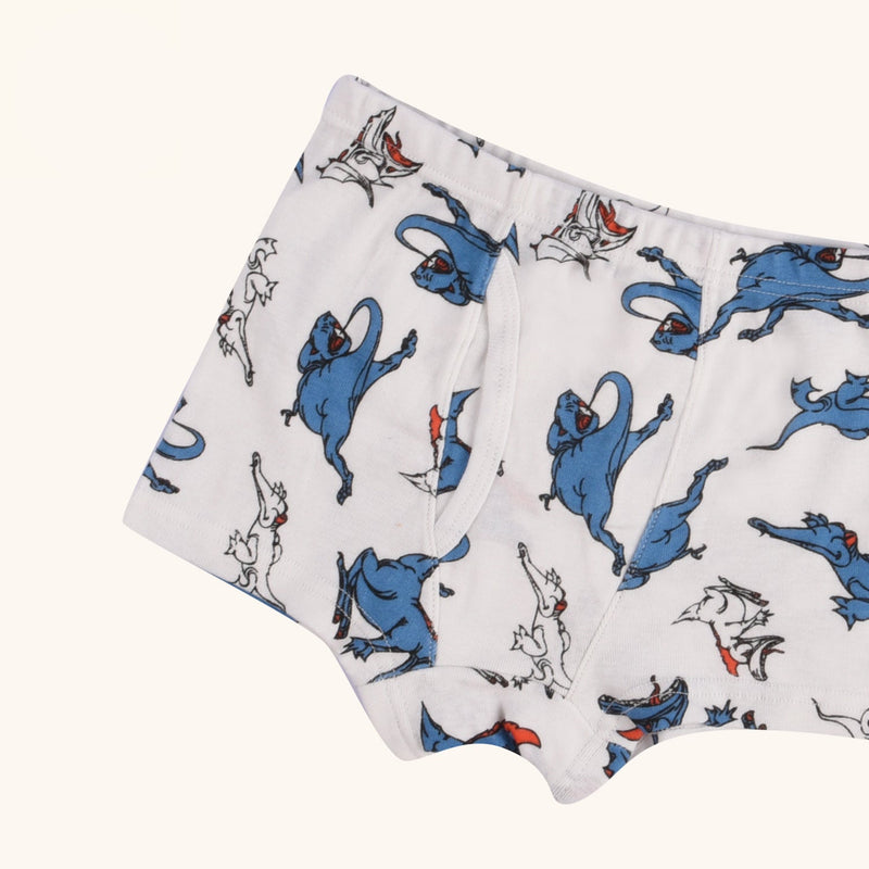 ELLINGTON Boxer Briefs for Boys