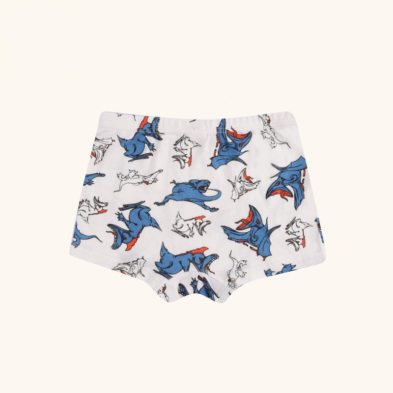 ELLINGTON Boxer Briefs for Boys