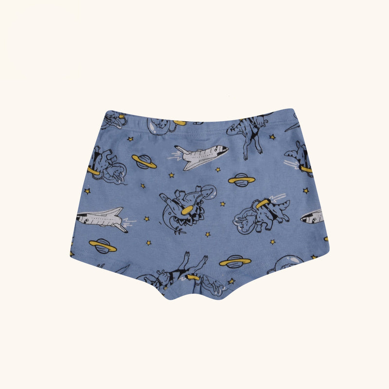 ELLINGTON Boxer Briefs for Boys