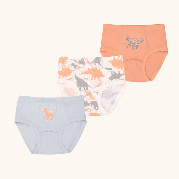 CAL Briefs for Boys