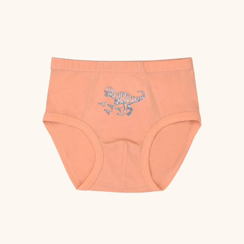 CAL Briefs for Boys