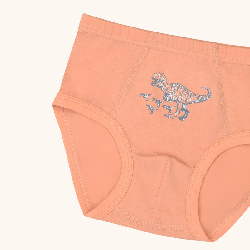 CAL Briefs for Boys