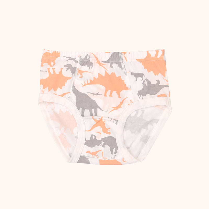 CAL Briefs for Boys