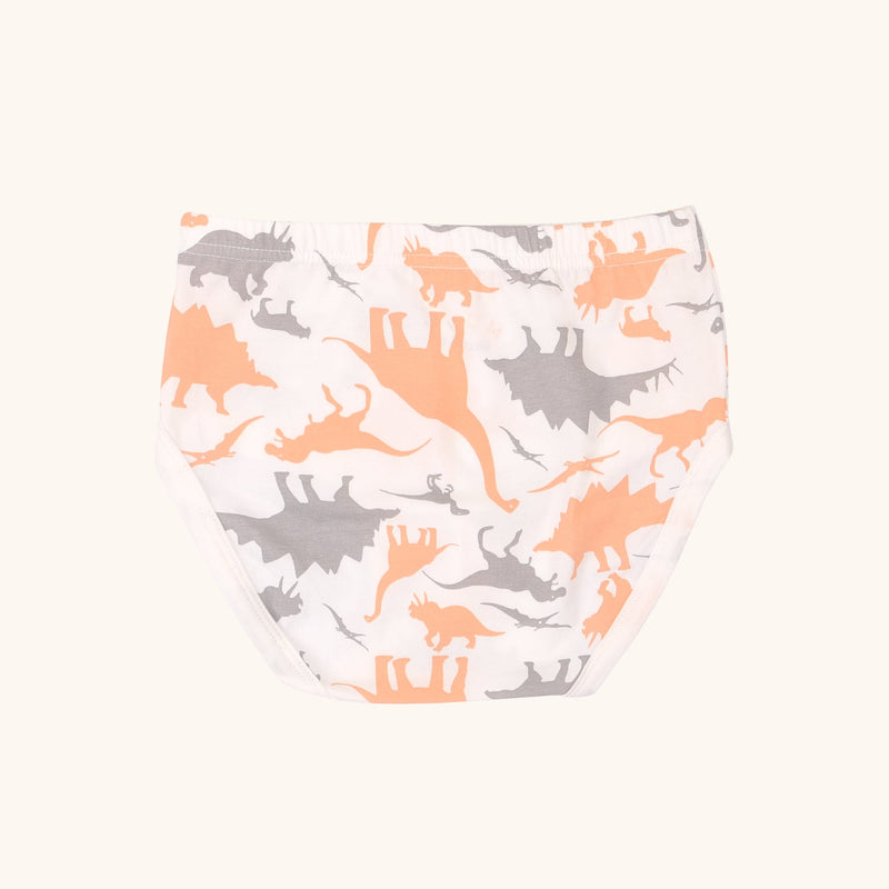 CAL Briefs for Boys