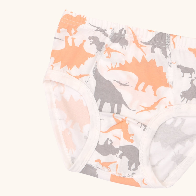 CAL Briefs for Boys