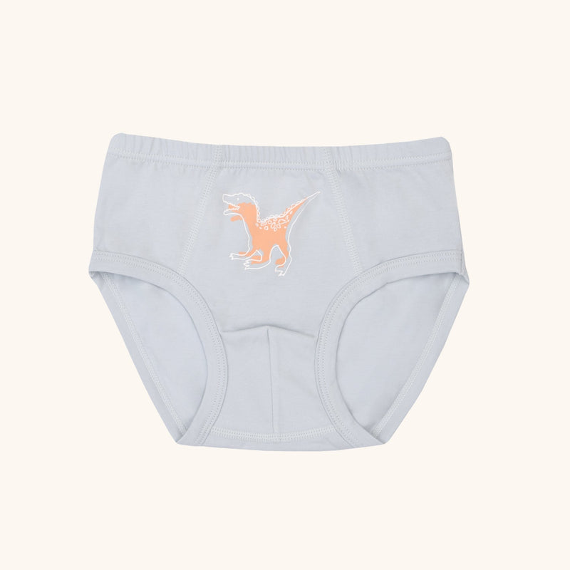 CAL Briefs for Boys