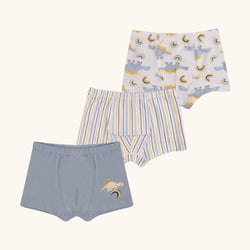 HUDSON Boxer Briefs for Boys