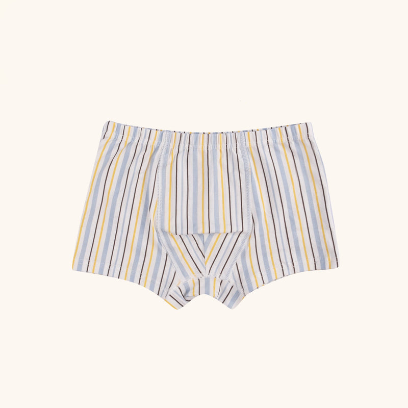 HUDSON Boxer Briefs for Boys