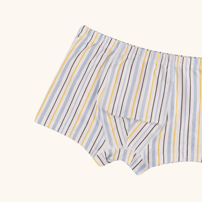 HUDSON Boxer Briefs for Boys