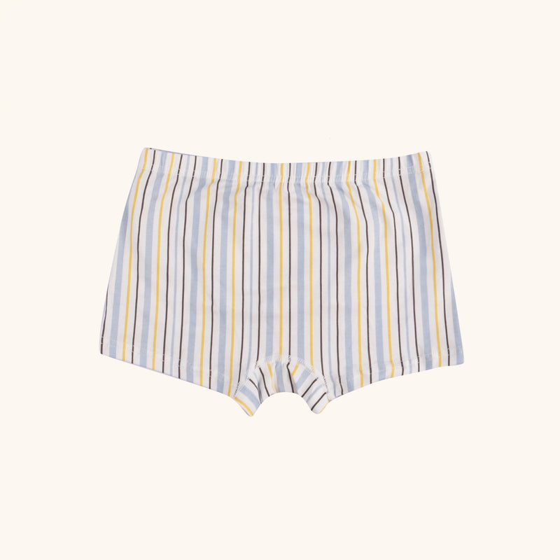 HUDSON Boxer Briefs for Boys