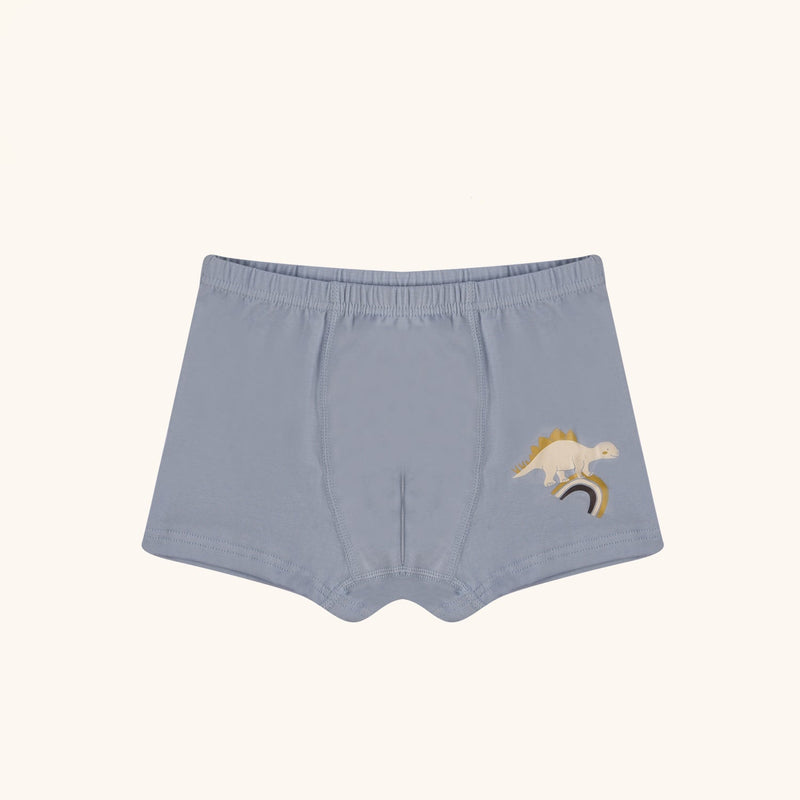 HUDSON Boxer Briefs for Boys