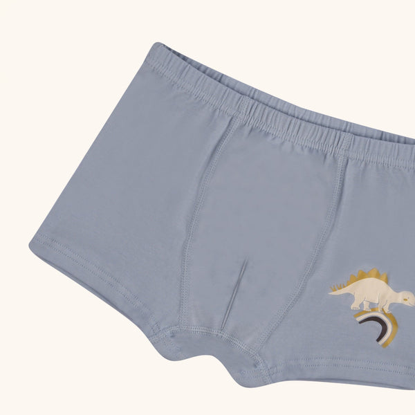 HUDSON Boxer Briefs for Boys