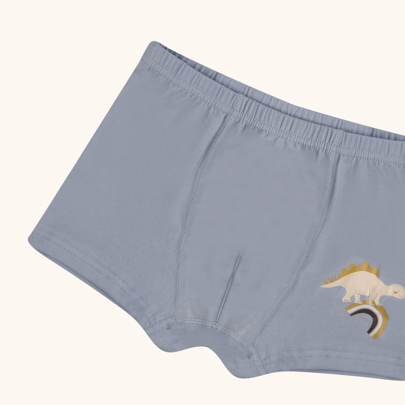 HUDSON Boxer Briefs for Boys