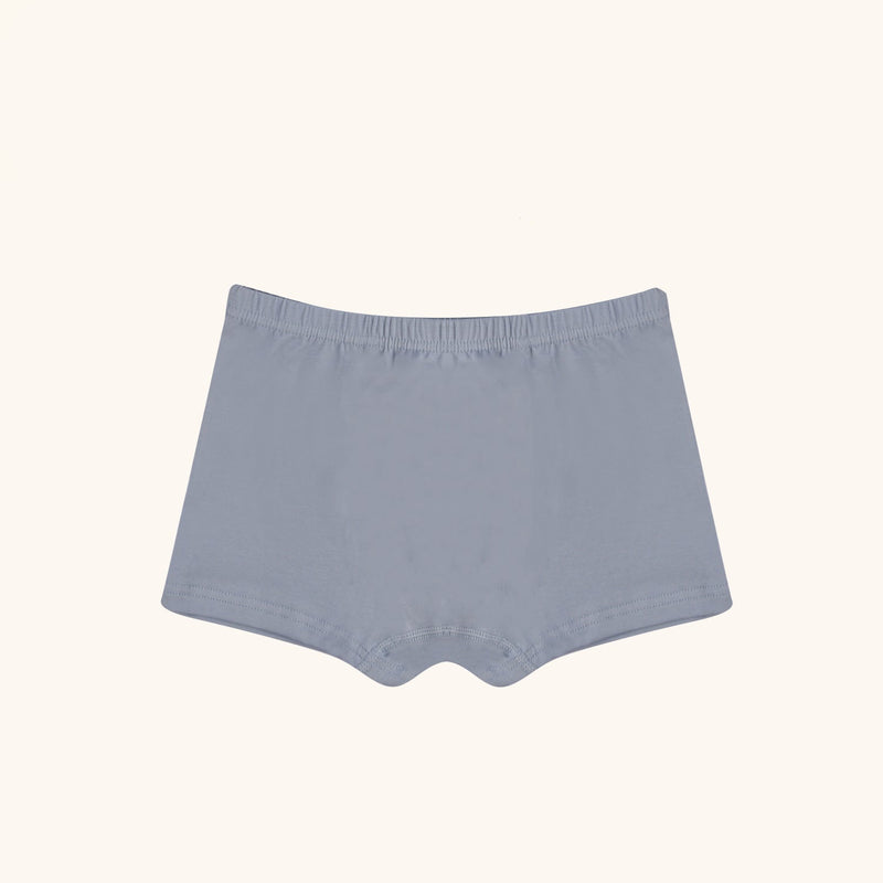 HUDSON Boxer Briefs for Boys