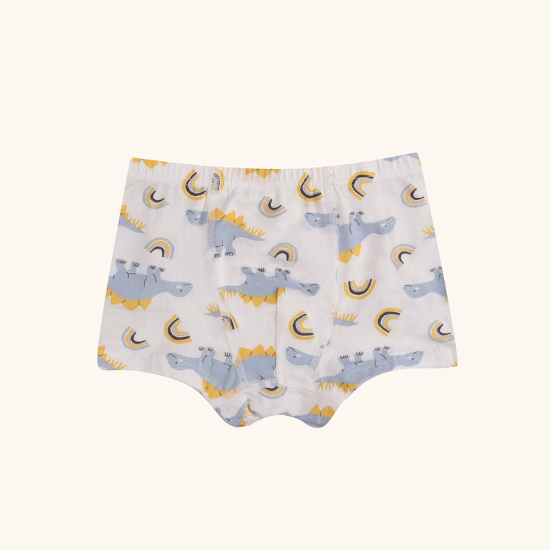 HUDSON Boxer Briefs for Boys
