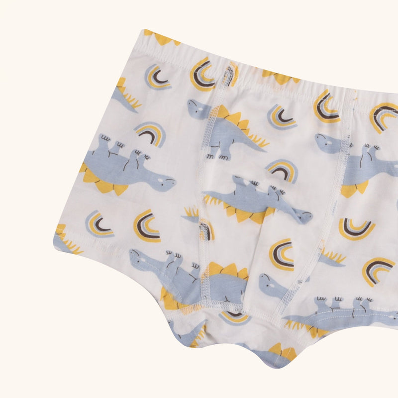HUDSON Boxer Briefs for Boys
