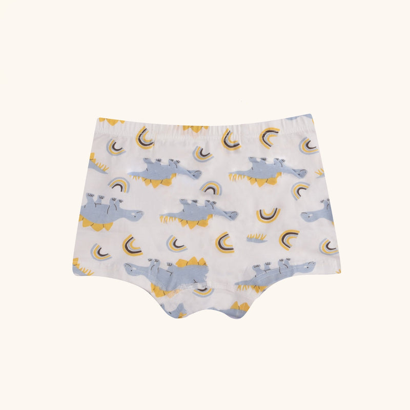 HUDSON Boxer Briefs for Boys