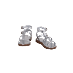 ISTRID Silver