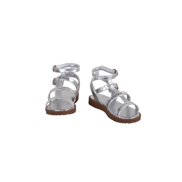 ISTRID Silver