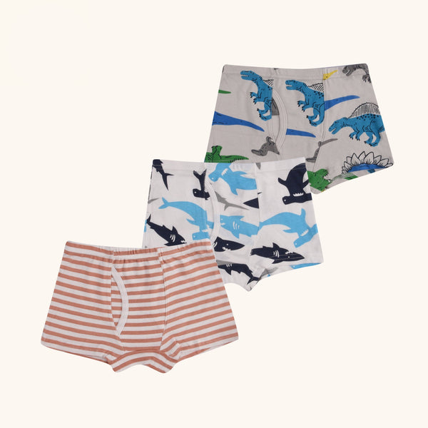 REED Boxer Briefs for Boys