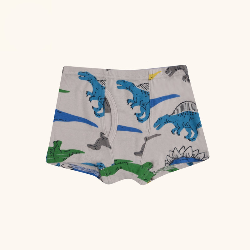 REED Boxer Briefs for Boys