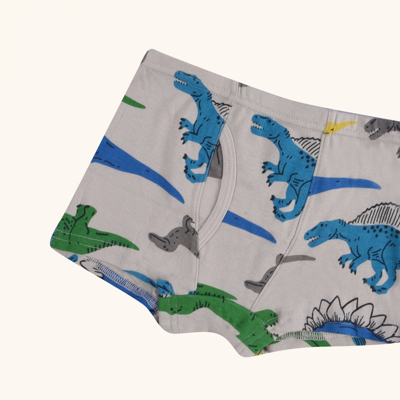 REED Boxer Briefs for Boys