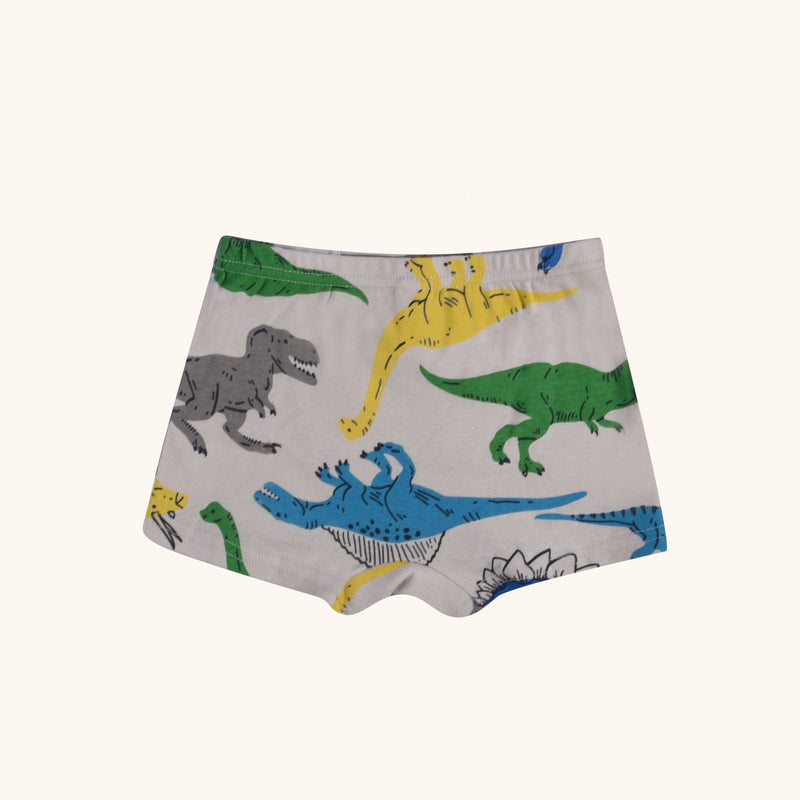 REED Boxer Briefs for Boys