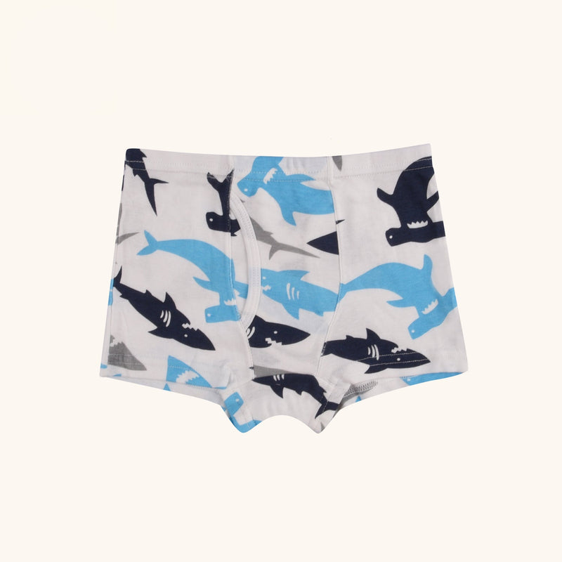 REED Boxer Briefs for Boys