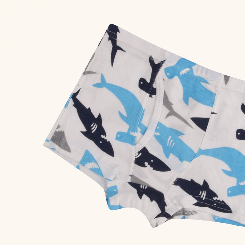 REED Boxer Briefs for Boys