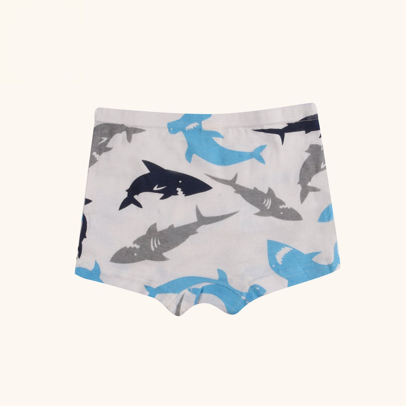 REED Boxer Briefs for Boys