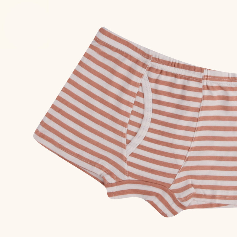 REED Boxer Briefs for Boys