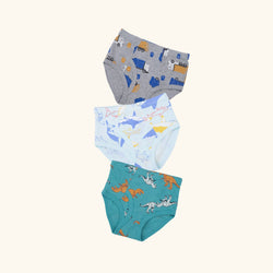REID BRIEFS FOR BOYS