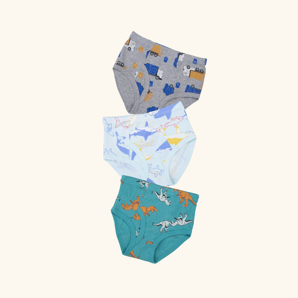 REID BRIEFS FOR BOYS