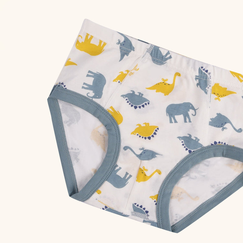 WYTHE Briefs for Boys